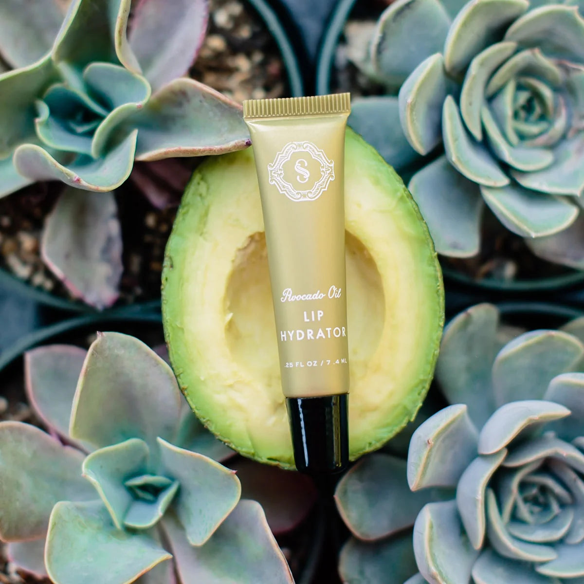 Sorella Lip Hydrator